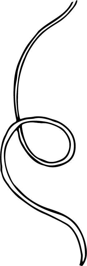 illustration of a swirl pattern